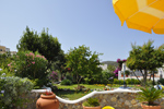 affitta camere ponza